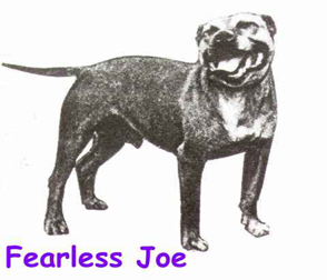Fearless Joe